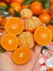 广西砂糖橘500g 商品缩略图1
