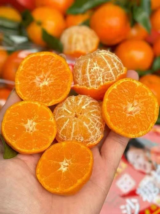 广西砂糖橘500g 商品图1