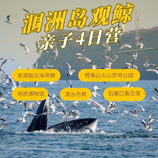 涠洲岛观鲸亲子4日营（GZYX） 商品图0
