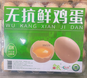 山农-无抗鲜鸡蛋30枚装【BH】【SN】