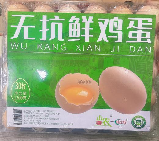山农-无抗鲜鸡蛋30枚装【BH】【SN】 商品图0