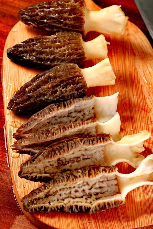 新鲜羊肚菌云南特产羊肚菌菇鲜货羊肝菌煲汤食材羊肚菇半野生菌菇 商品图2