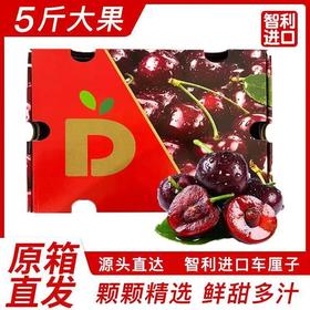 单J车厘子礼盒装/10斤BN