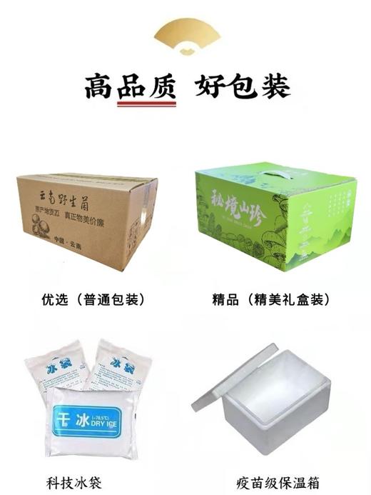 新鲜羊肚菌云南特产羊肚菌菇鲜货羊肝菌煲汤食材羊肚菇半野生菌菇 商品图6