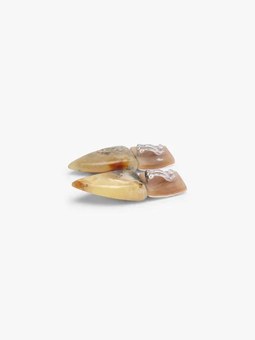 订购8周到｜MONIES-OOAK-琥珀 牛角 耳夹（无需耳洞）［丹麦设计师］ 商品图1