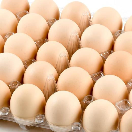 保洁鲜鸡蛋 30枚/盒 商品图2