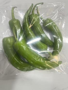 韩家福青辣椒매운고추