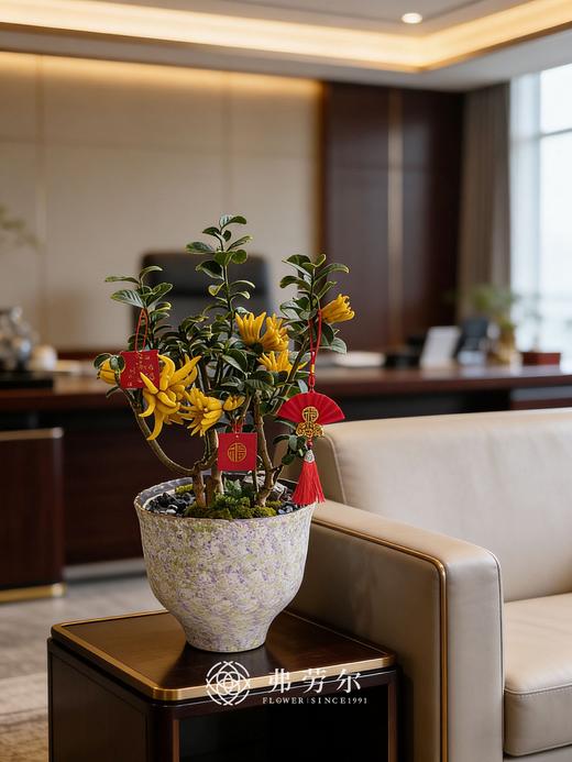 策马奔腾-金佛手10 商品图0