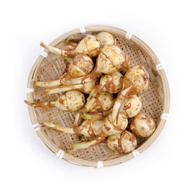 茨菇 约500g/份 ±50g 买放心菜就上瑞和泰