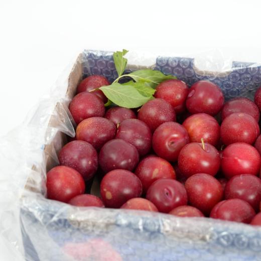 智利樱桃李-2.5kg 商品图0