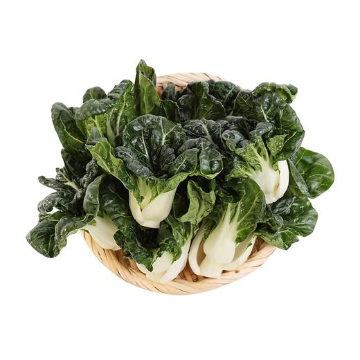 肥东奶白菜 约250g-300g  买放心菜就上瑞和泰 商品图0