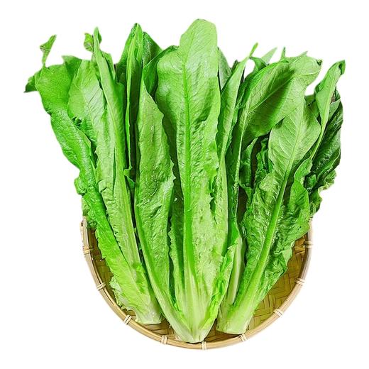 油麦菜 约250g-300g  买放心菜就上瑞和泰 商品图0