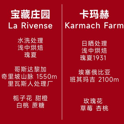新春宝马 | 瑰夏组合 商品图1