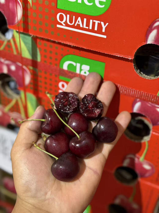 双JJ纯冰车厘子 商品图3