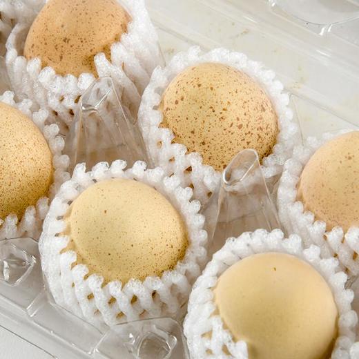 蜀膳集野鸡蛋290g 10枚/盒 商品图3