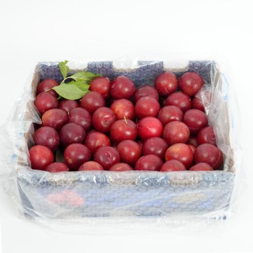 智利樱桃李-2.5kg 商品图3