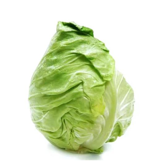 精选牛角包菜  整颗 约400g-450g  买放心菜就上瑞和泰 商品图0