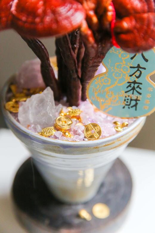 招财灵芝盆栽盆景 商品图7
