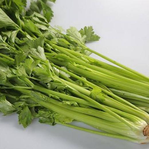 西安精选芹菜 约350g-400g  买放心菜就上瑞和泰 商品图1