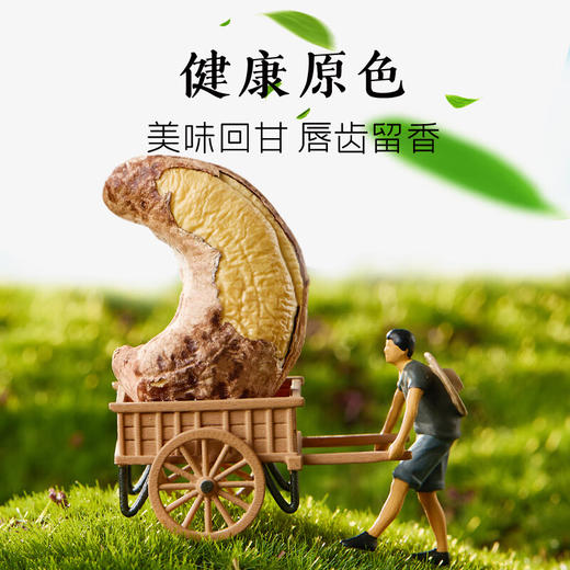 【分仓直发包邮】天生好果紫衣腰果358g 商品图3