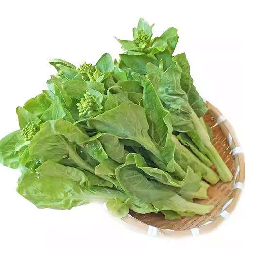 肥东菜苔 约250g-300g  买放心菜就上瑞和泰 商品图0