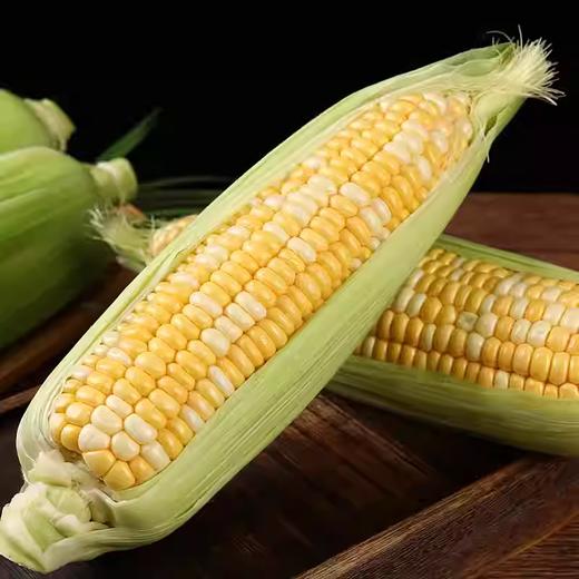 云南鲜甜玉米 约500g-550g  买放心菜就上瑞和泰 商品图0