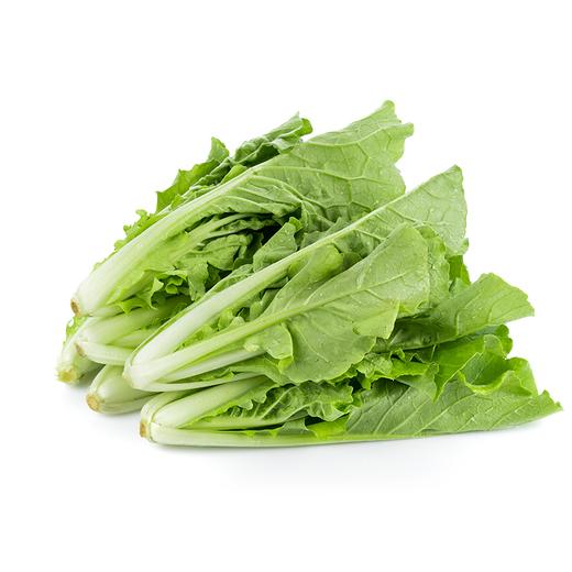 撮镇毛白菜 约250g-300g  买放心菜就上瑞和泰 商品图0