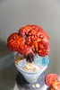 招财灵芝盆栽盆景 商品缩略图3
