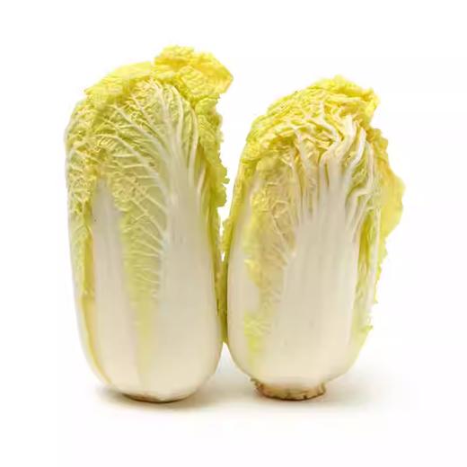 兰州娃娃菜（大颗）  约450g-500g  买放心菜就上瑞和泰 商品图1