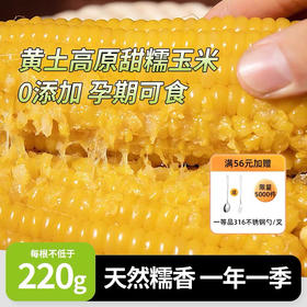 丑糯 黑土地种植 香甜糯白玉 5H锁鲜