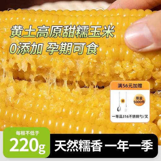 丑糯 黑土地种植 香甜糯白玉 5H锁鲜 商品图0