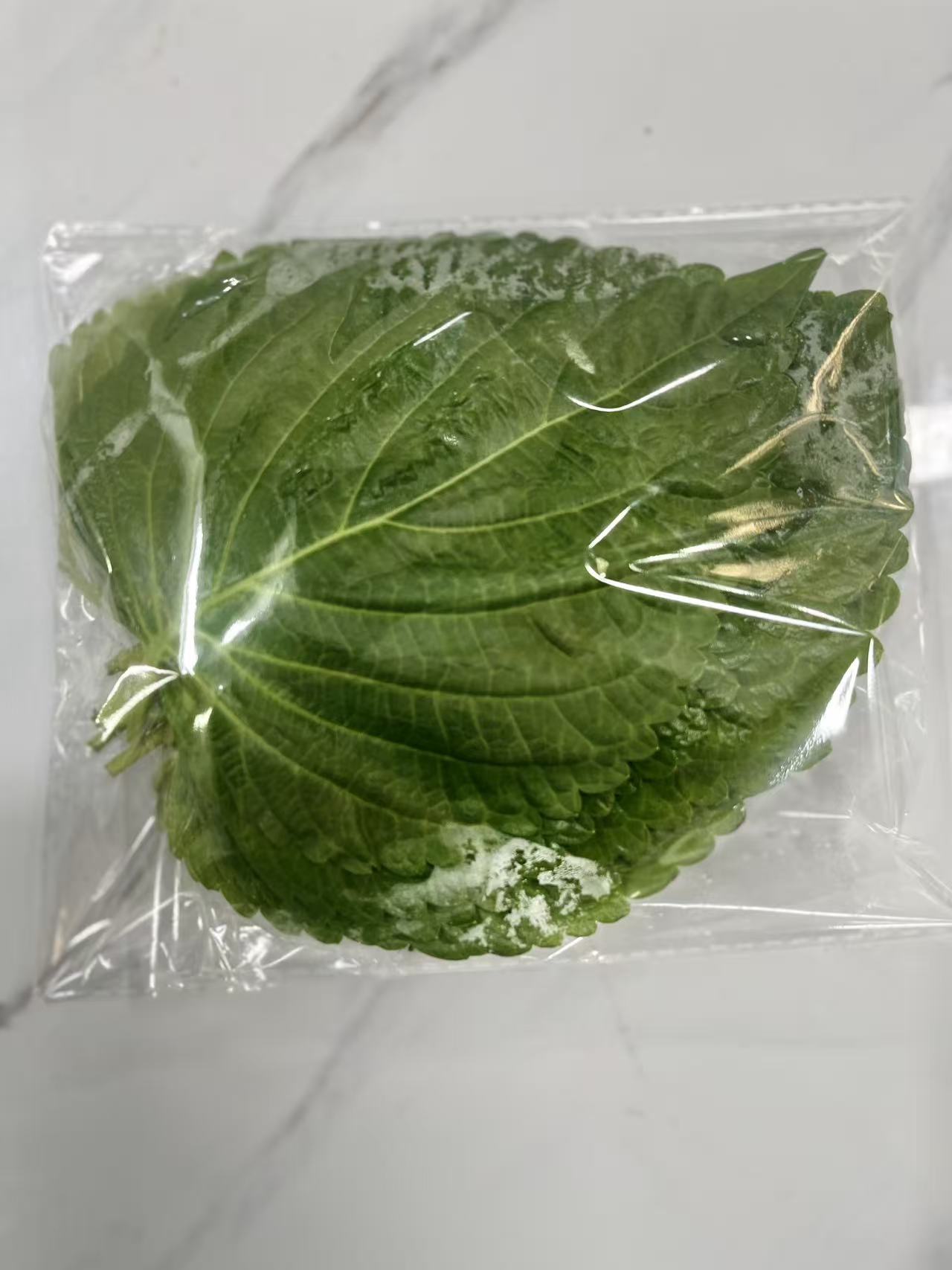 韩家福苏子叶한푸드생깻잎