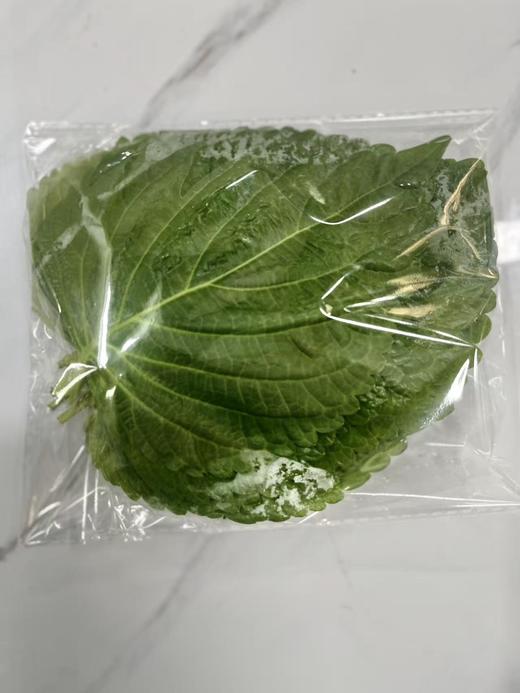 韩家福苏子叶한푸드생깻잎 商品图0