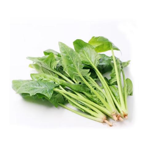 嫩嫩小菠菜 约250g-300g  买放心菜就上瑞和泰 商品图0