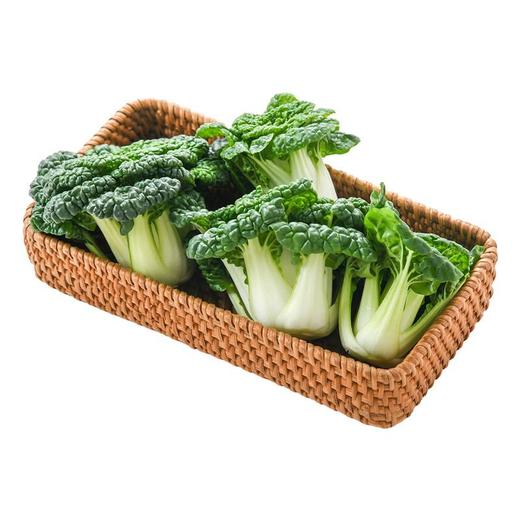 放心嫩嫩菜(小乌菜)100g/袋 叶菜 商品图2