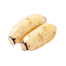 新莲藕 约400g-450g 买放心菜就上瑞和泰