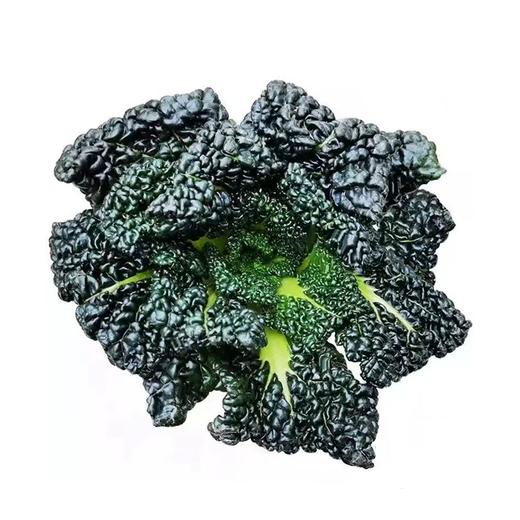 霜打乌心菜 约250g-300g  买放心菜就上瑞和泰 商品图1