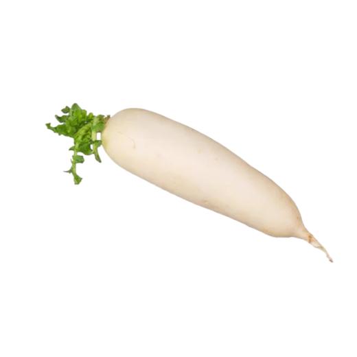 白萝卜 约600g-700g/根 买放心菜就上瑞和泰 商品图0