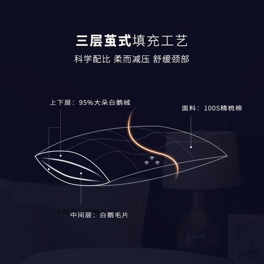 康尔馨 100S全棉A类希尔顿羽绒枕芯 单只74*48cm 商品图2