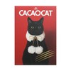 CACAOCAT 什锦巧克力制品红色礼盒（28枚）313.6g/盒 商品缩略图1