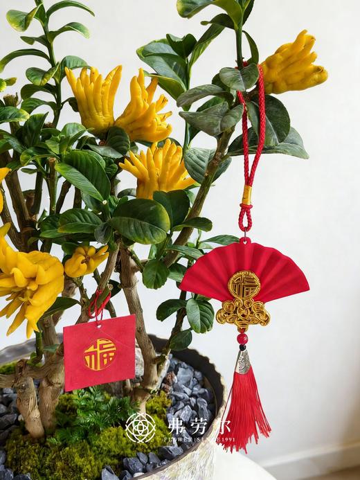 策马奔腾-金佛手10 商品图2