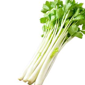 白芹 约350g-400g  买放心菜就上瑞和泰