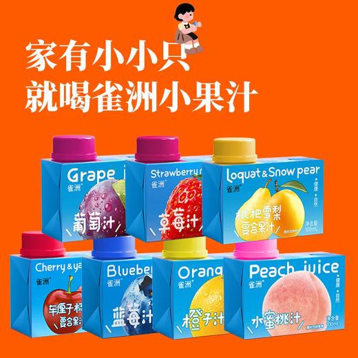 雀洲小果汁 小包装网红饮品 100ml*12盒/提 多种口味任选 商品图1