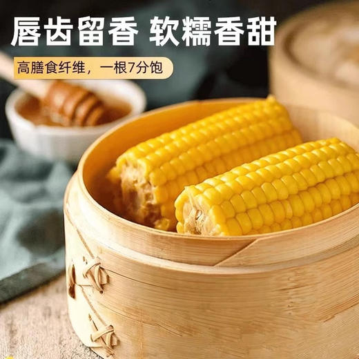 丑糯 黑土地种植 香甜糯白玉 5H锁鲜 商品图1