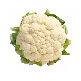 青梗花菜 约500g--550g  买放心菜就上瑞和泰