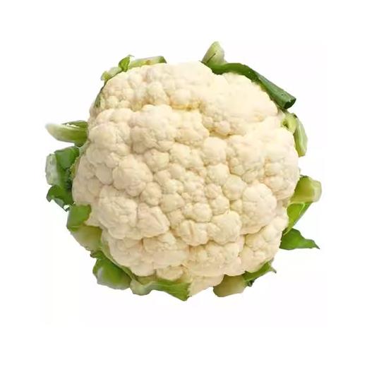 青梗花菜 约500g--550g  买放心菜就上瑞和泰 商品图0