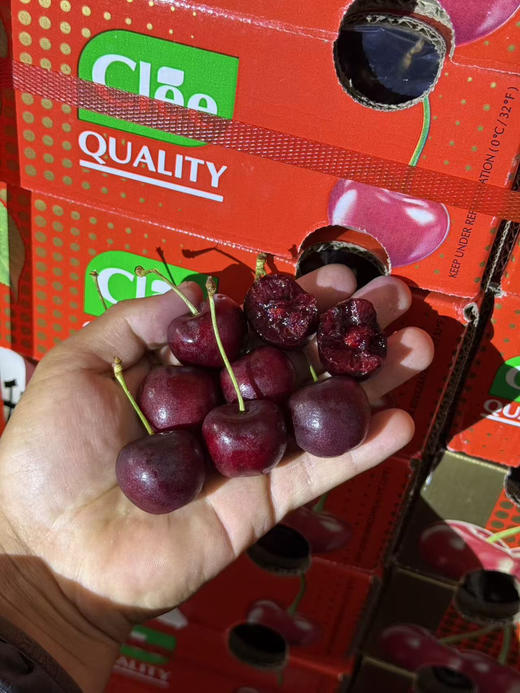 双JJ纯冰车厘子 商品图5