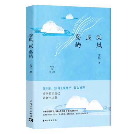 乘风或岛屿 王忆著 中国青年出版社 商品图1