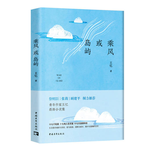 乘风或岛屿 王忆著 中国青年出版社 商品图2