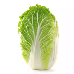 山东大白菜  整颗 约2.5kg-3kg  买放心菜就上瑞和泰